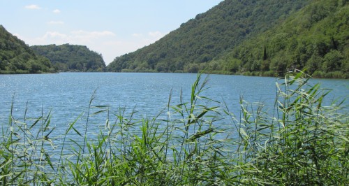 Insubria – Laurofillizzazione nelle Alpi meridionali Insubria – Laurofillizzazione nelle Alpi meridionali